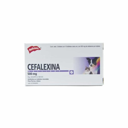 CEFALEXINA 500 mg - Comprimido Oral